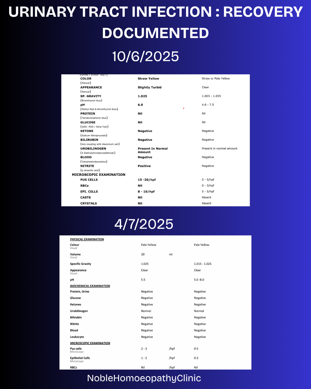 Noble Homoeopathy Clinic Interior